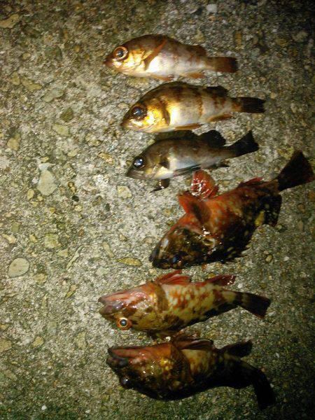 Ｆシステムってなぁーんだの巻